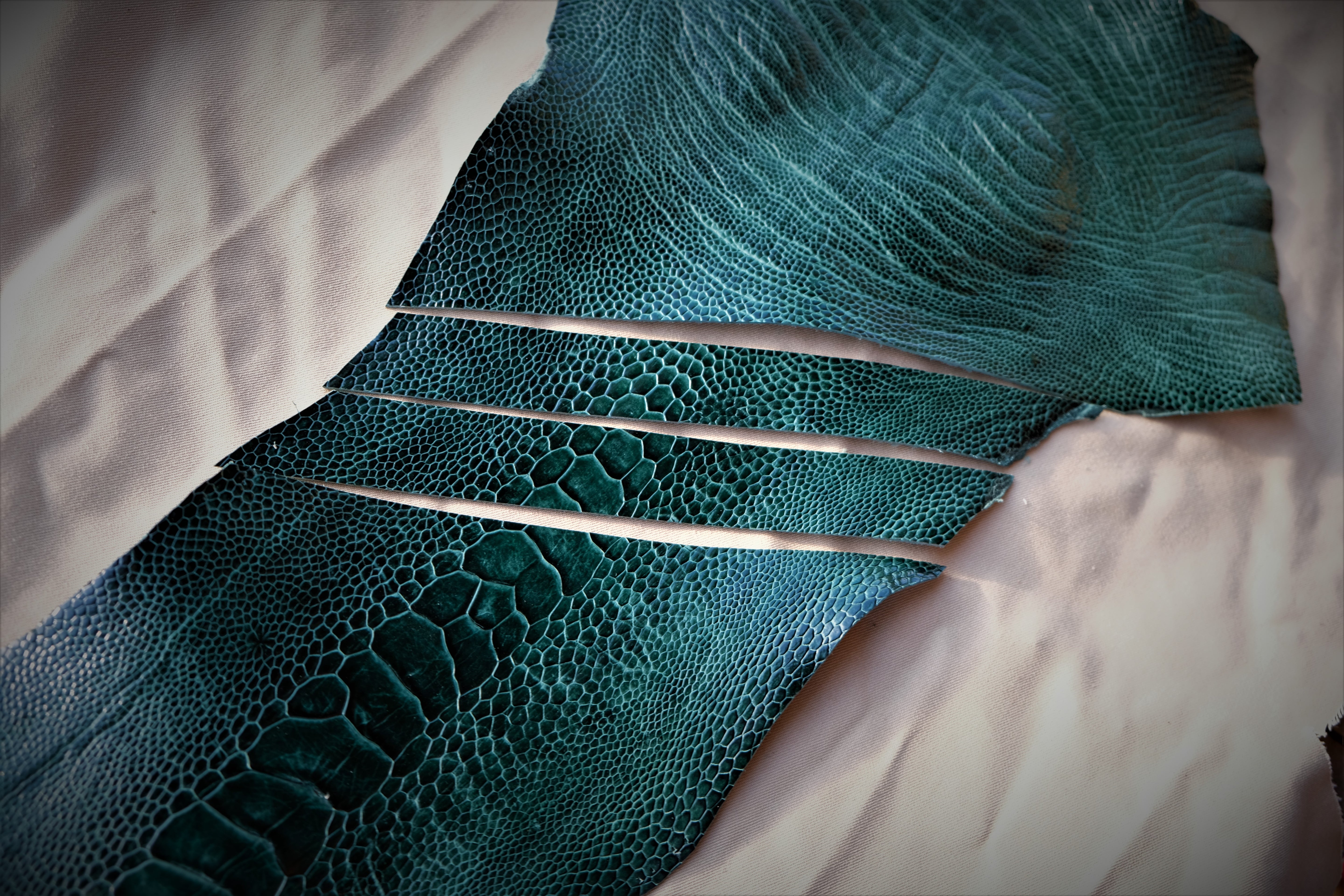 Green Ostrich Leather Watch Strap – Custom Sizes 10mm to 26mm