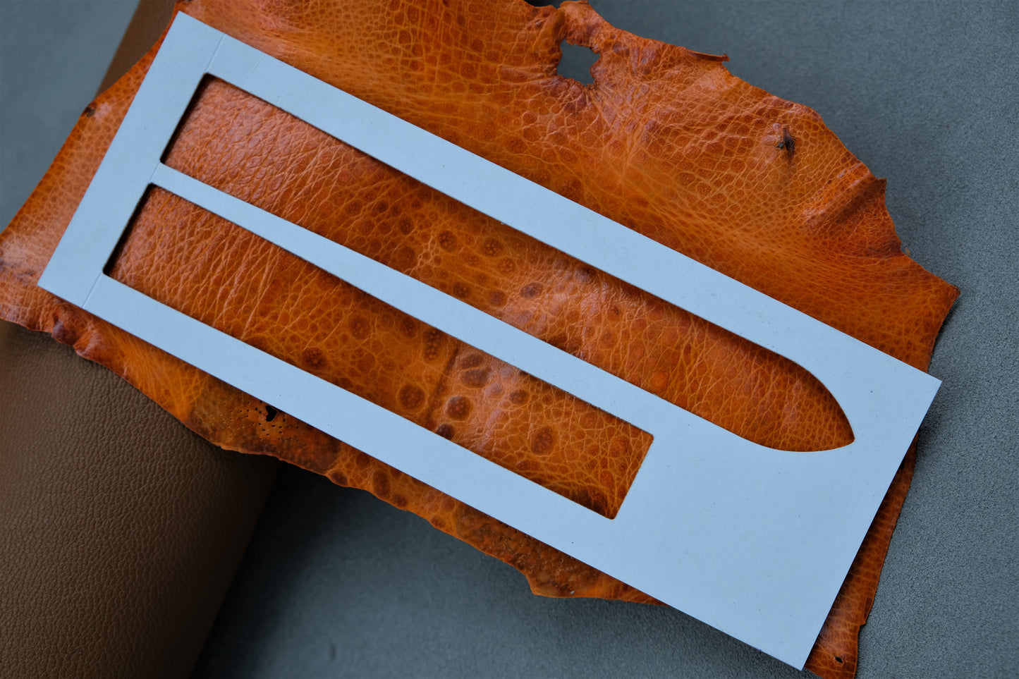 Custom Orange Toad Leather Watch Strap