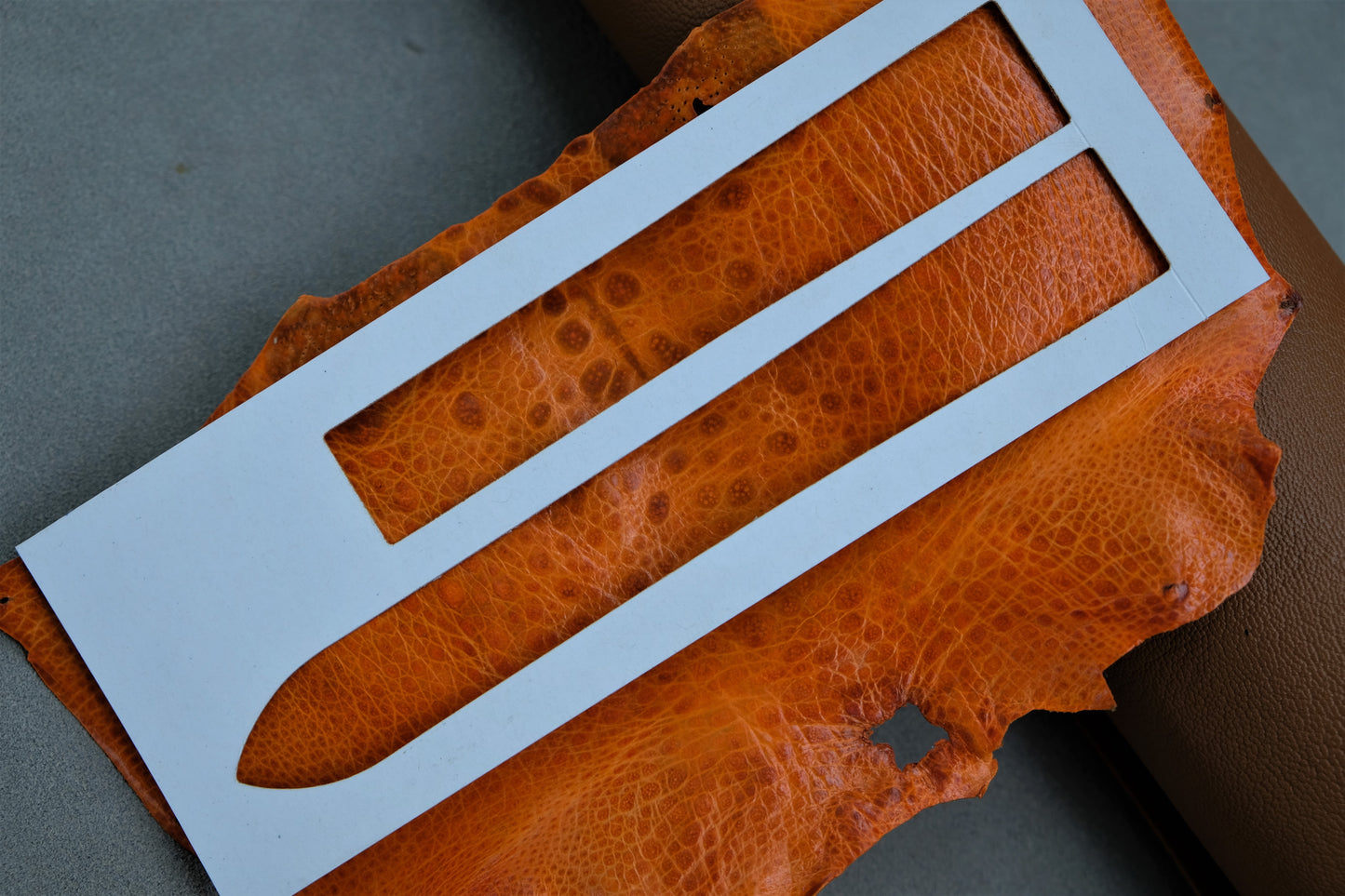 Custom Orange Toad Leather Watch Strap